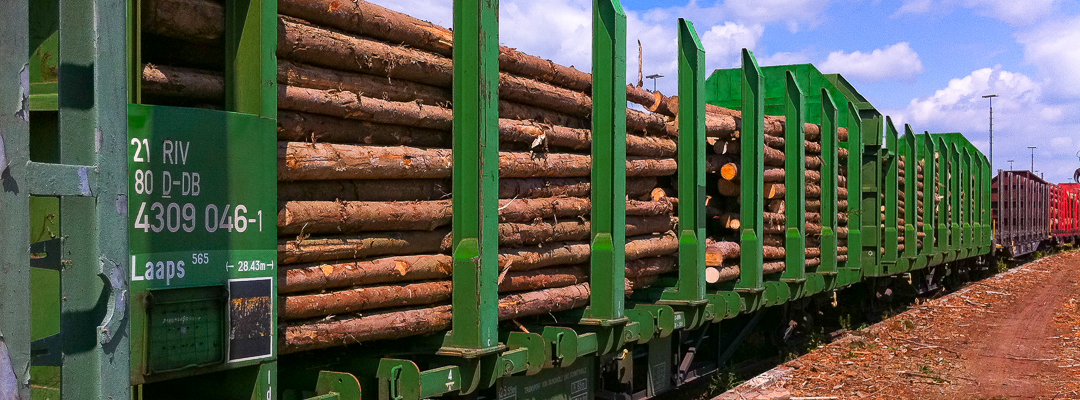 Holztransport mit dem Zug